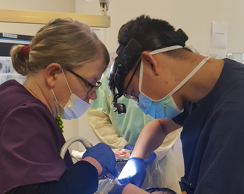 Community partners join forces for services and healthy smiles