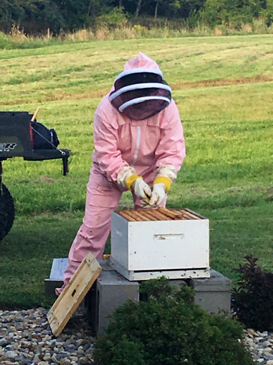 A beekeeper's close call with death changed her life for the better