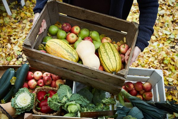 Fall Food Exploration Food in the Fall: Carle Health experts offer tips for healthy autumnal ...